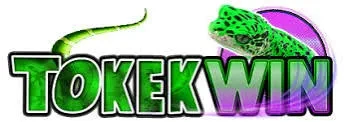 tokekwin — Pusat Unduh APK Indonesia
